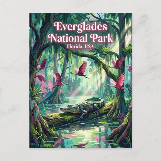 Everglades Nationalpark USA Postkarte (Vorderseite)