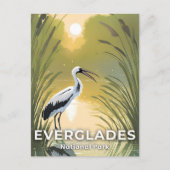 Everglades-Nationalpark | Wasserfarbstorch Postkarte (Vorderseite)