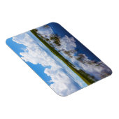 Everglades Naturlandschaft Magnet (Rechte Seite)