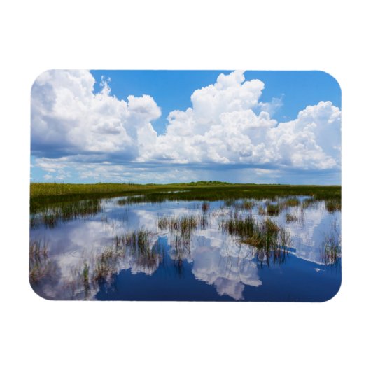 Everglades Naturlandschaft Magnet (Horizontal)