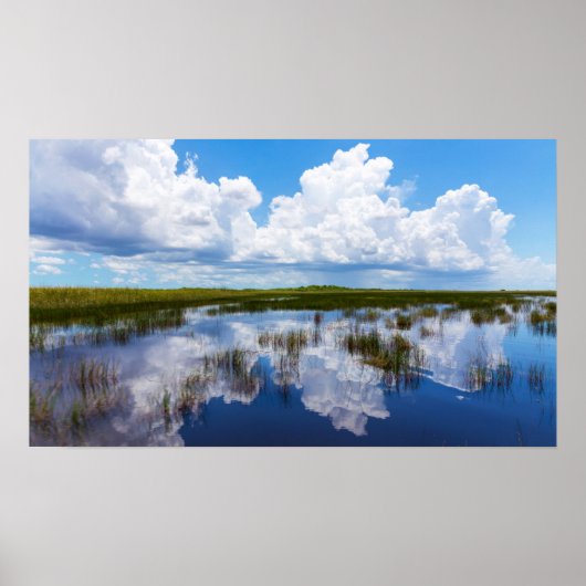Everglades Naturlandschaft Poster (Vorne)