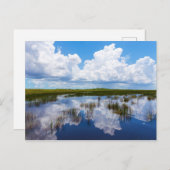 Everglades Naturlandschaft Postkarte (Vorne/Hinten)