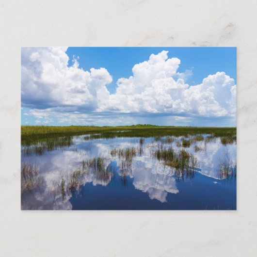 Everglades Naturlandschaft Postkarte (Vorderseite)
