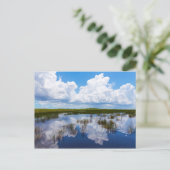 Everglades Naturlandschaft Postkarte (Stehend Vorderseite)