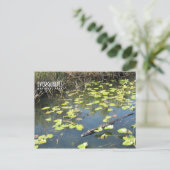 Everglades Postcard Feiertagspostkarte (Stehend Vorderseite)