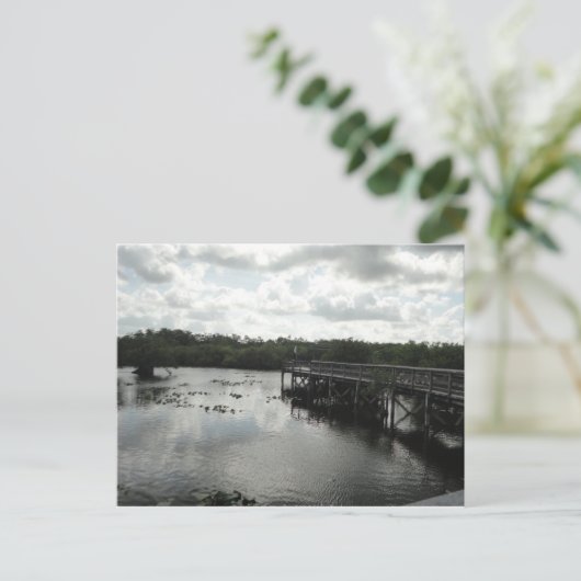Everglades Postcard Postkarte (Stehend Vorderseite)
