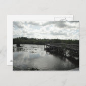Everglades Postcard Postkarte (Vorne/Hinten)