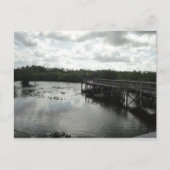Everglades Postcard Postkarte (Vorderseite)