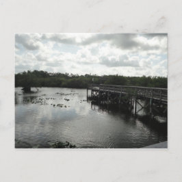 Everglades Postcard Postkarte