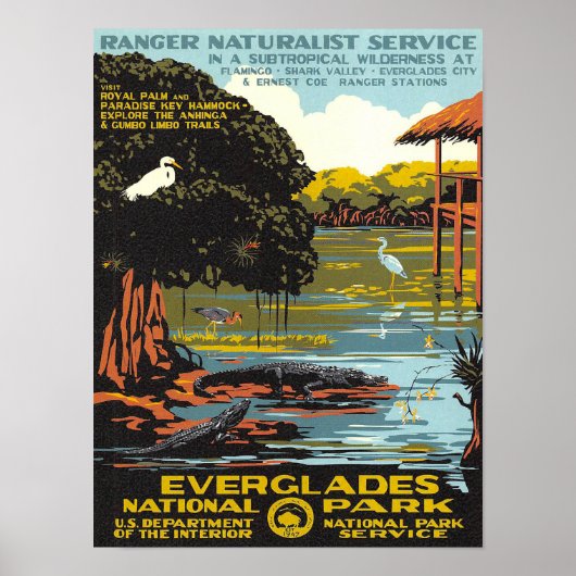 Everglades Poster (Vorne)