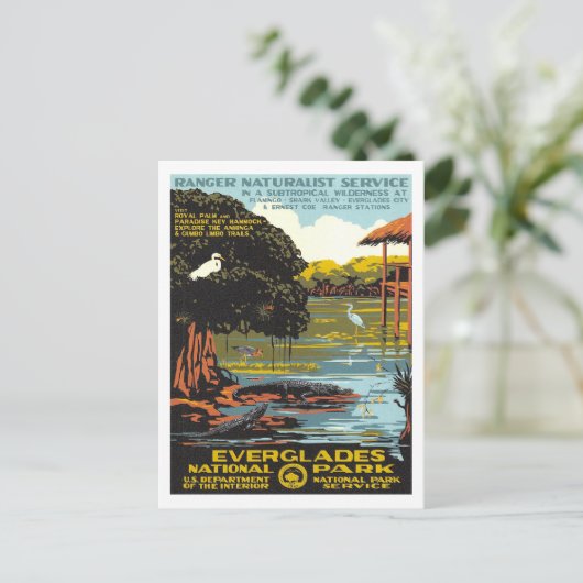 Everglades Postkarte (Stehend Vorderseite)
