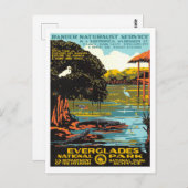 Everglades Postkarte (Vorne/Hinten)