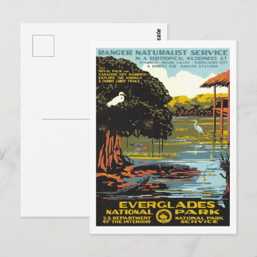 Everglades Postkarte (Vorne/Hinten)