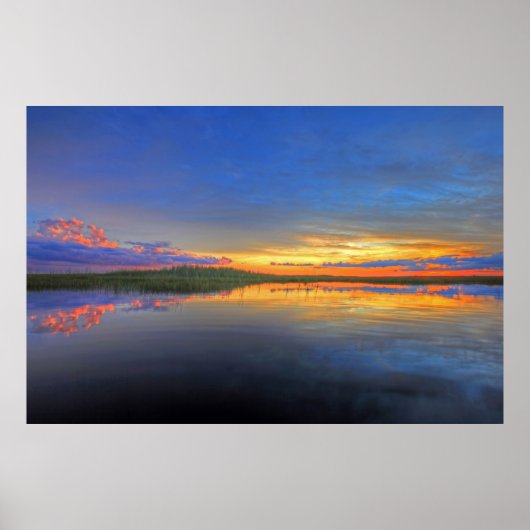 Everglades Reflections Poster (Vorne)