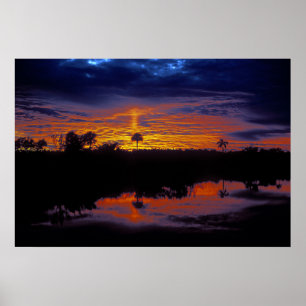 Everglades Sunset Poster