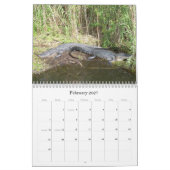 Everglades Wall Calendar Kalender (Feb 2027)