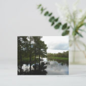 Everglades Waterway Postkarte (Stehend Vorderseite)