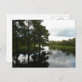 Everglades Waterway Postkarte (Vorne/Hinten)