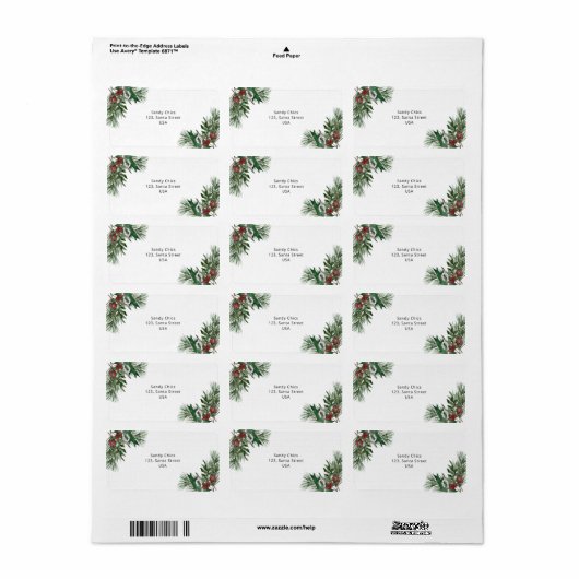 Evergreen Adressaufkleber (Vorne)