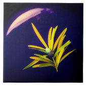 Evergreen auf Blue Keramik Tile Fliese (Vorderseite)