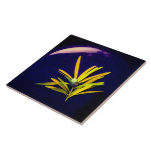 Evergreen auf Blue Keramik Tile Fliese