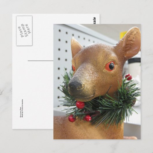 Evergreen Deer Postkarte (Vorne/Hinten)