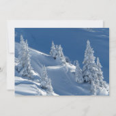 Evergreen Firs bedeckt mit Winterschnee (Vorderseite)