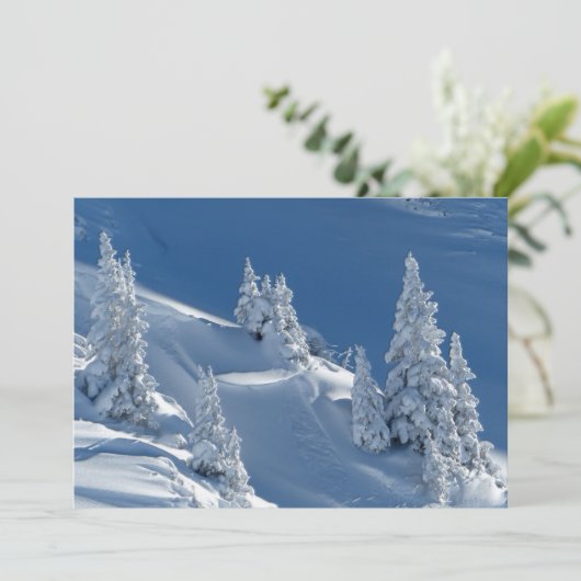 Evergreen Firs bedeckt mit Winterschnee (Stehend Vorderseite)