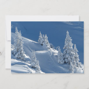 Evergreen Firs bedeckt mit Winterschnee