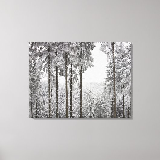 Evergreen forest im Winter Leinwanddruck (Vorderseite)