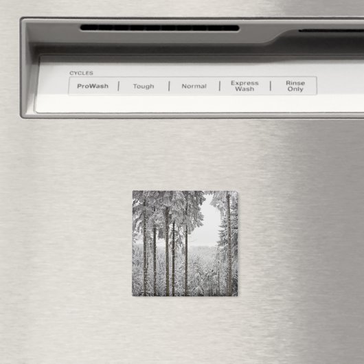 Evergreen forest im Winter Magnet (In Situ (Geschirrspüler))