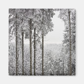 Evergreen forest im Winter Magnet (Vorne)