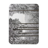 Evergreen forest im Winter Magnet (Vertikal)