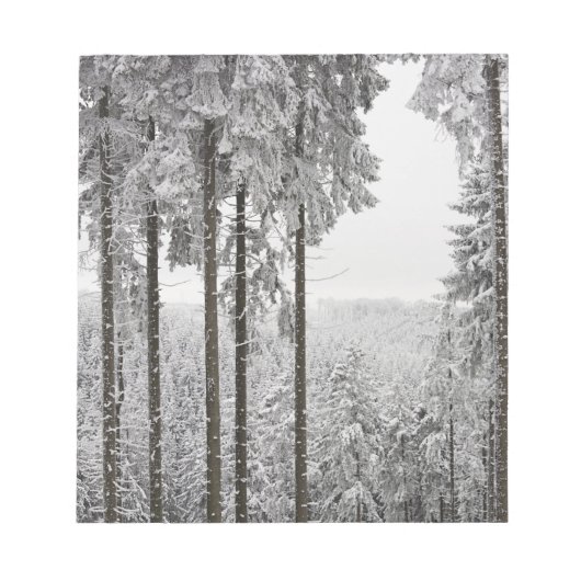 Evergreen forest im Winter Notizblock (Vorderseite)