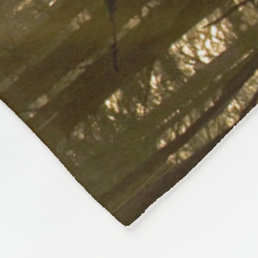 Evergreen Forest | Oregon Coast Fleecedecke (Ecke)