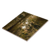 Evergreen Forest | Oregon Coast Fliese (Seite)