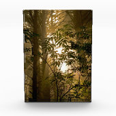 Evergreen Forest | Oregon Coast Fotoblock (Vorderseite)