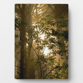 Evergreen Forest | Oregon Coast Fotoplatte (Vorderseite)