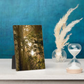 Evergreen Forest | Oregon Coast Fotoplatte (Seite)