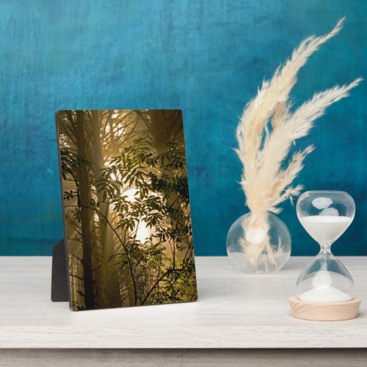 Evergreen Forest | Oregon Coast Fotoplatte (Seite)