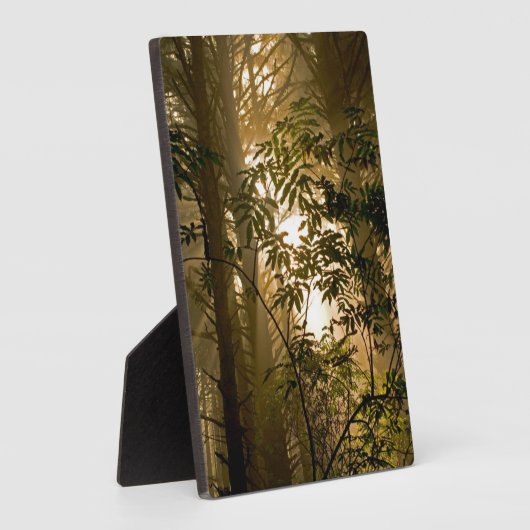 Evergreen Forest | Oregon Coast Fotoplatte (Seite)