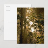 Evergreen Forest | Oregon Coast Postkarte (Vorne/Hinten)