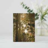 Evergreen Forest | Oregon Coast Postkarte (Stehend Vorderseite)