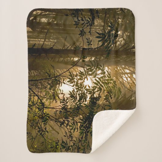 Evergreen Forest | Oregon Coast Sherpadecke (Vorderseite)