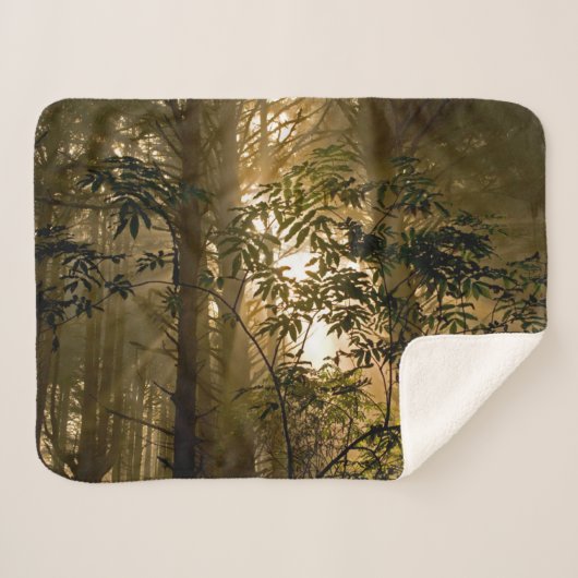 Evergreen Forest | Oregon Coast Sherpadecke (Vorderseite (Horizontal))