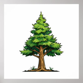 Evergreen forest poster