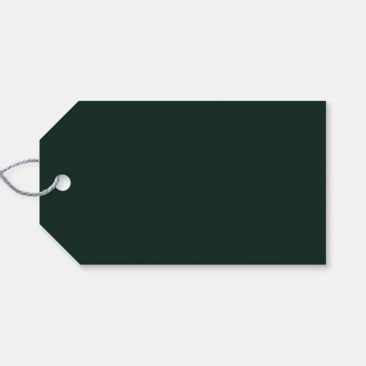 Evergreen Garland Modernes Foto Weihnachten Geschenkanhänger (Rückseite Horizontal)