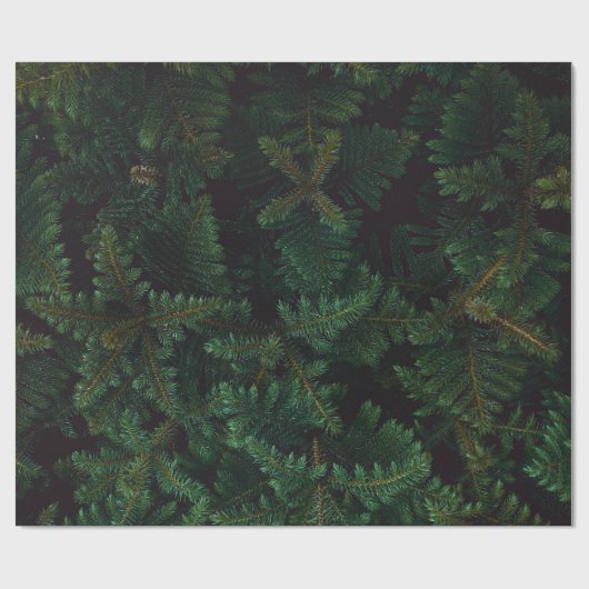 Evergreen Geschenkpapier (Flach)
