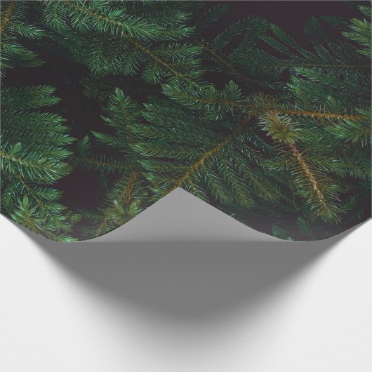 Evergreen Geschenkpapier (Ecke)