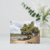 Evergreen Lake in Evergreen, Colorado Postkarte (Stehend Vorderseite)